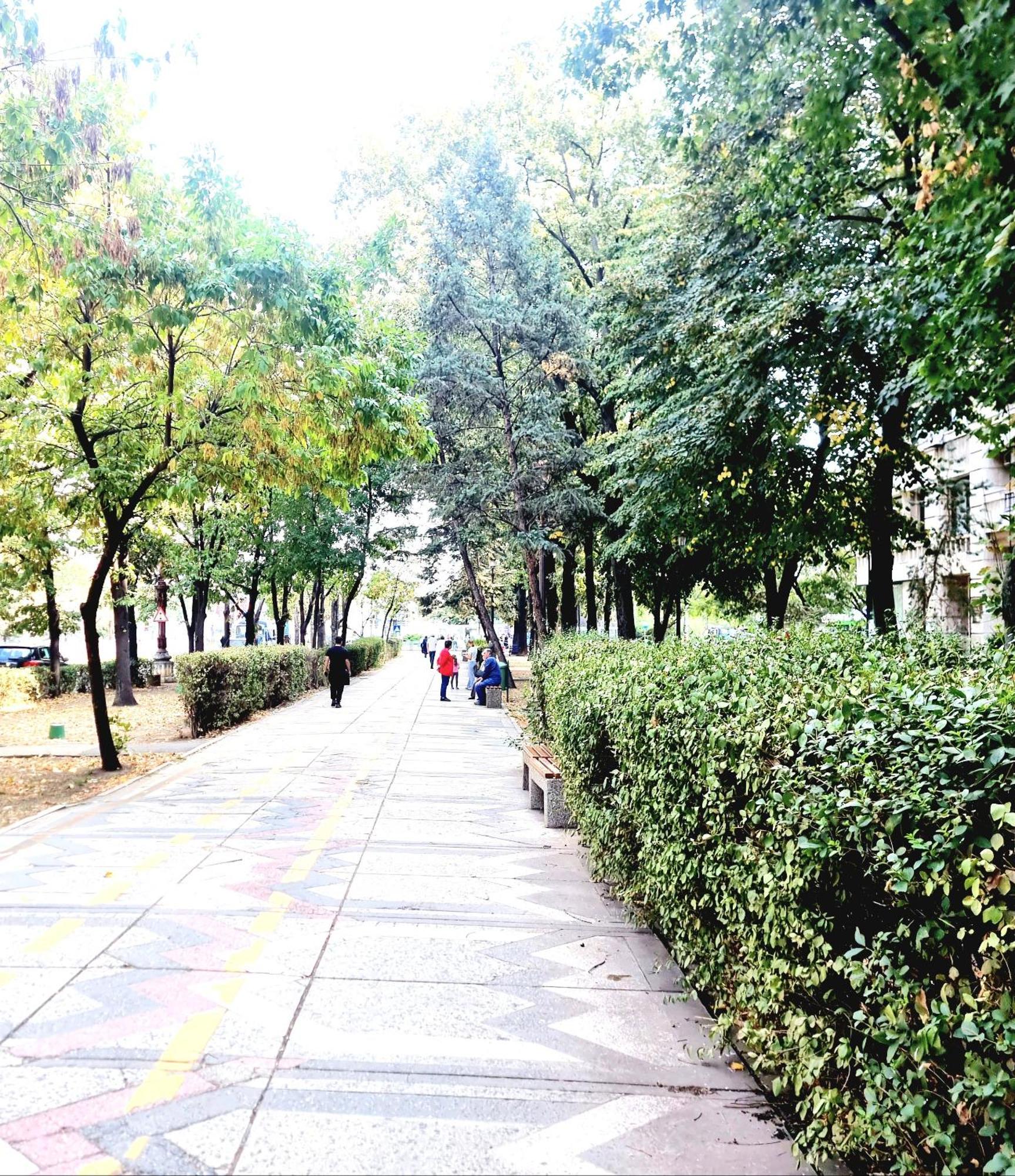Tranquil Unirii - Airy & Comfy With Parking - Next 2Parliament Apartament