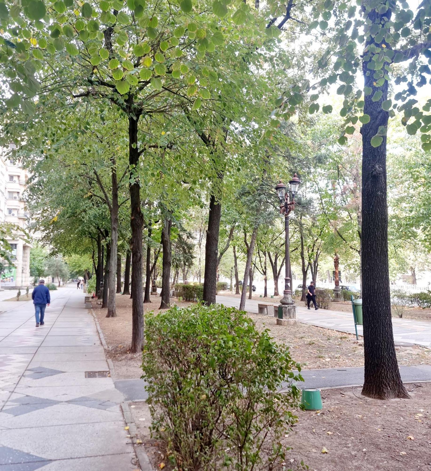 Tranquil Unirii - Airy & Comfy With Parking - Next 2Parliament Apartment Bucharest