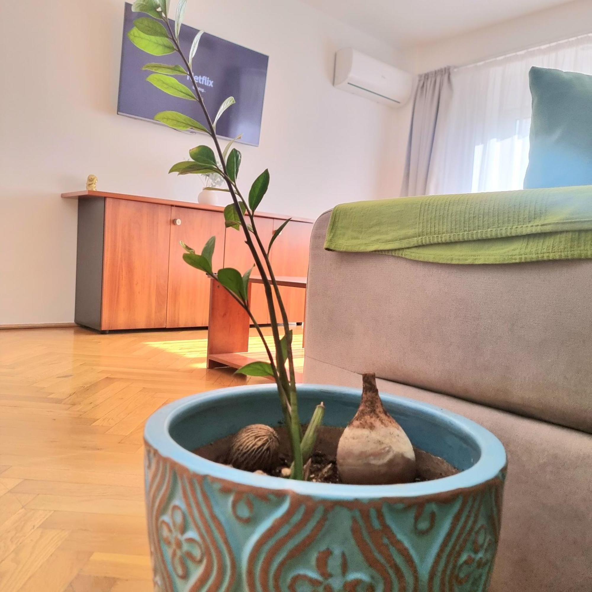 Apartment Tranquil Unirii - Airy & Comfy With Parking - Next 2Parliament *